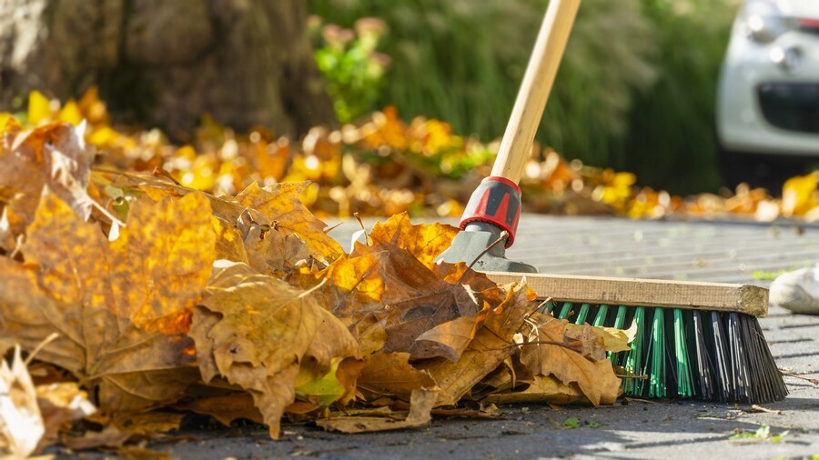 Leaf removal by PPM Properties LLC.