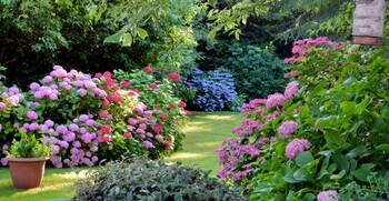 Garden Design in Crestwood, Missouri by PPM Properties LLC