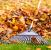 Crestwood Fall Clean Up by PPM Properties LLC