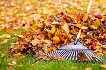 Fall Clean Up services in Richmond Heights, Missouri