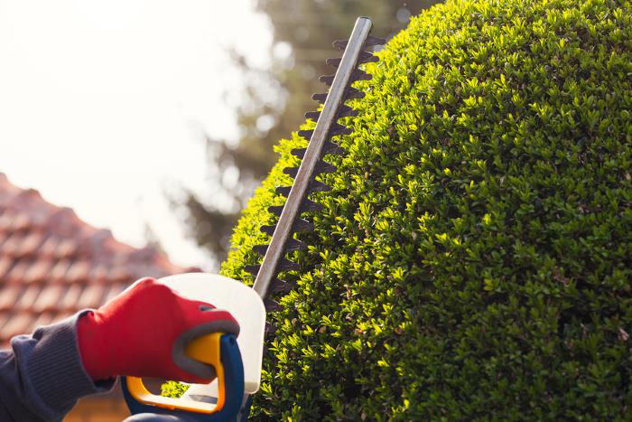 Pruning in by PPM Properties LLC