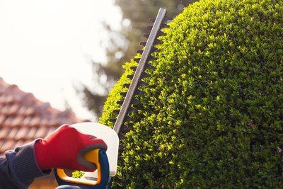 Pruning in Country Life Acres, Missouri