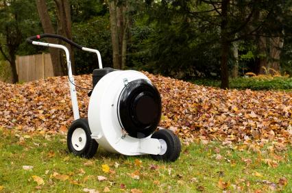 Leaf removal in Crestwood, MO by PPM Properties LLC.