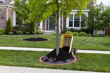Mulching in Crestwood Services