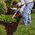 Crestwood Spring Clean Up by PPM Properties LLC